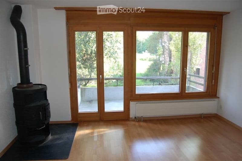 Empty room with wooden flooring, large glass doors leading to a balcony, and a black wood-burning stove with a chimney.