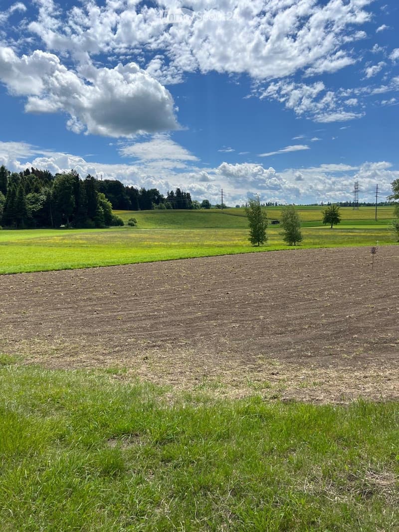 Open field with tilled soil, green grass, scattered trees, and a clear blue sky with clouds.