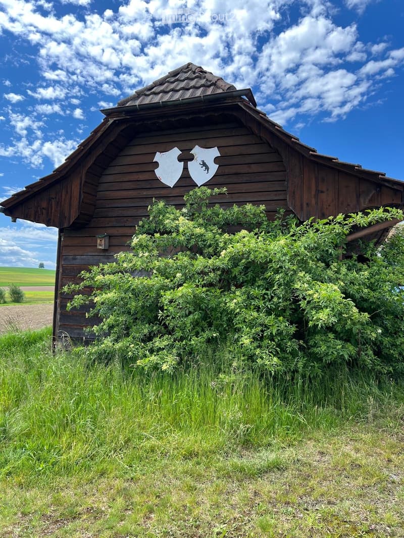 A wooden barn with a steep, pointed roof and decorative shields on the front, surrounded by overgrown vegetation and tall grass.