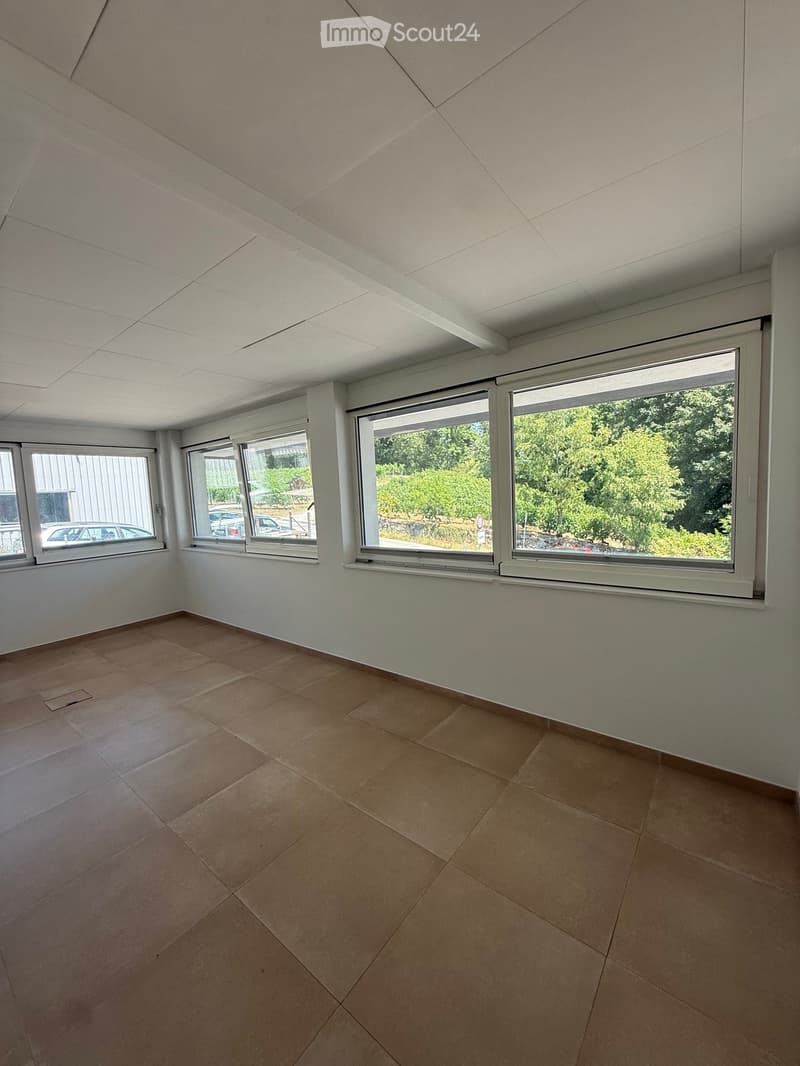 Empty room with tiled floor, white walls, and large windows offering a view of greenery outside.