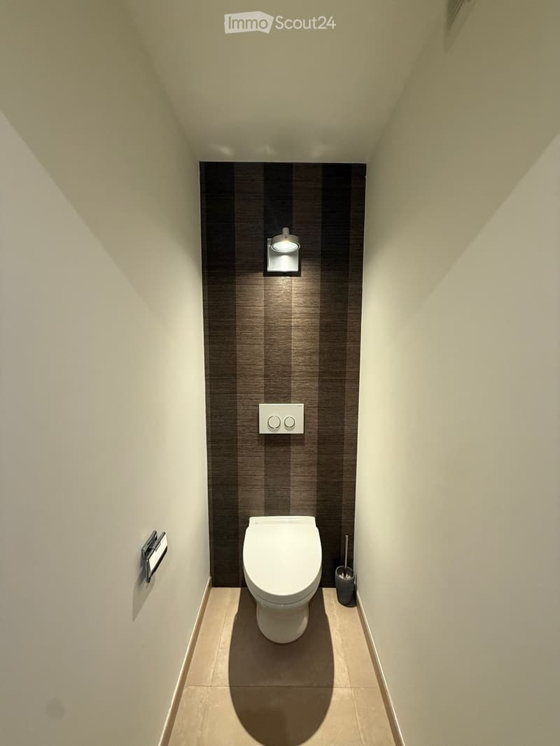Modern bathroom with a toilet, sleek dark striped wall tiles, light switch, and a toilet brush holder.