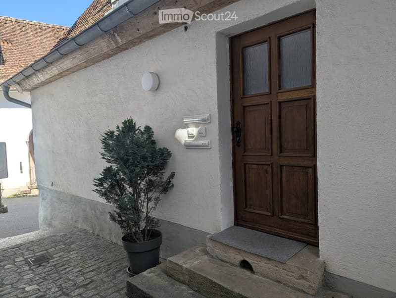 Entrance to a building with a wooden door, small potted plant, and stone steps leading up to the door.