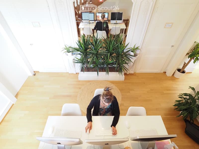 Bright, modern office space with light wooden flooring, white desks, multiple computer monitors, and potted plants.