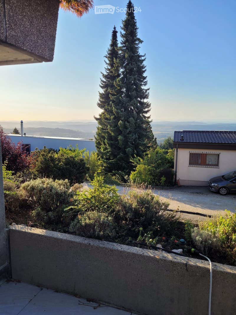 Garden area with a tall pine tree, shrubs, and a view of a house and distant landscape.