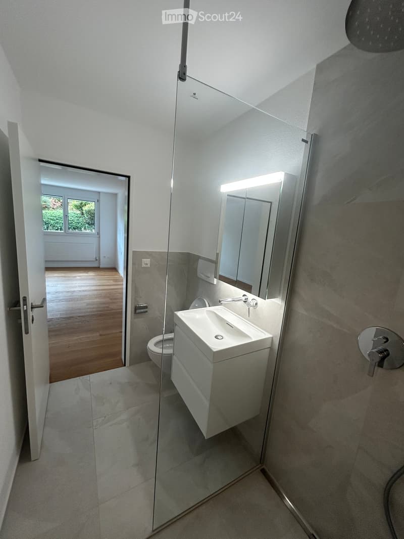 Modern bathroom with a white sink, mirror, and toilet, featuring a glass shower enclosure and wooden flooring visible through an open doorway.