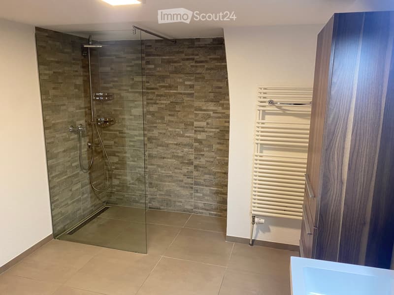 Modern bathroom with a glass-enclosed shower, tiled walls, and a white radiator.