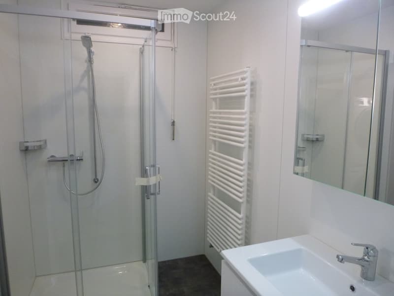 Modern bathroom with a glass-enclosed shower, a white radiator, a sink with a modern faucet, and a large mirror.