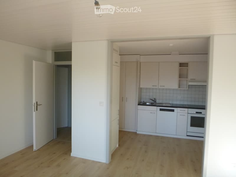 Modern, unfurnished living space with light wooden flooring, white walls, and an adjacent kitchen area featuring white cabinets, a sink, and built-in appliances.