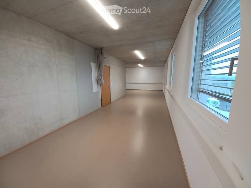 Empty hallway with concrete walls, carpeted floor, and large windows on one side. A single wooden door is visible on the left.