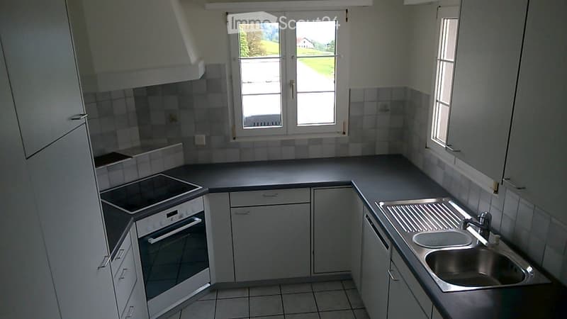 Modern kitchen with white cabinets, stainless steel sink, oven, and stove. Large windows provide natural light.