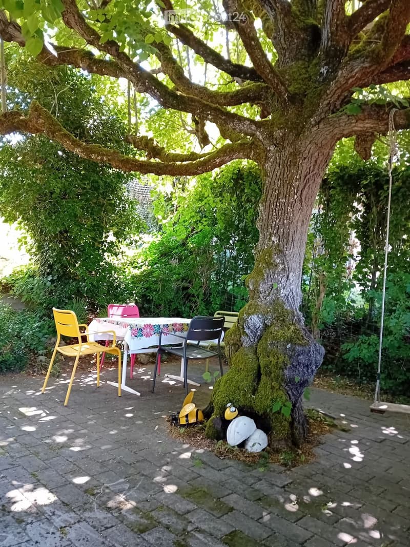 A garden area with a large tree, a table with chairs, and a swing hanging from the tree branch.