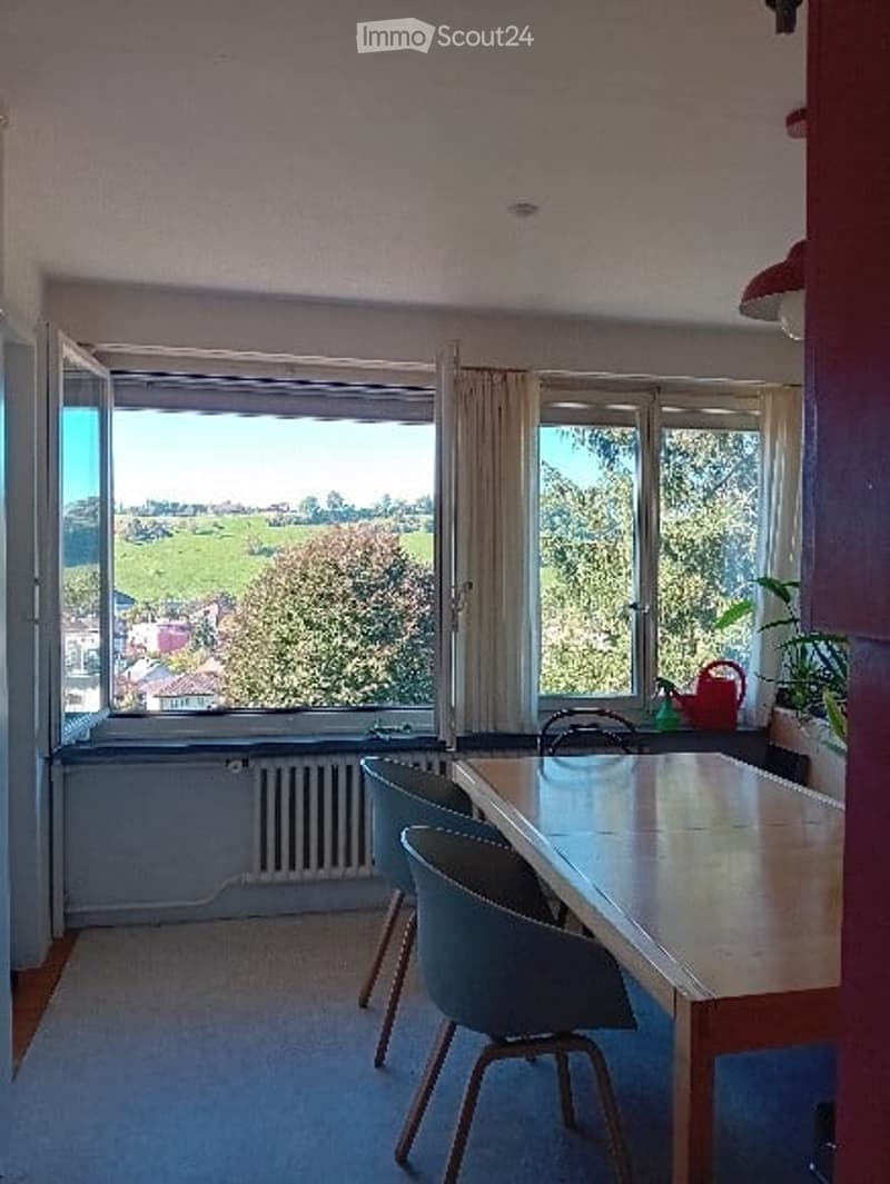 Bright room with large windows offering a scenic view of a green landscape. Features a wooden dining table with four modern chairs, a radiator below the windows, and a small plant on the windowsill.
