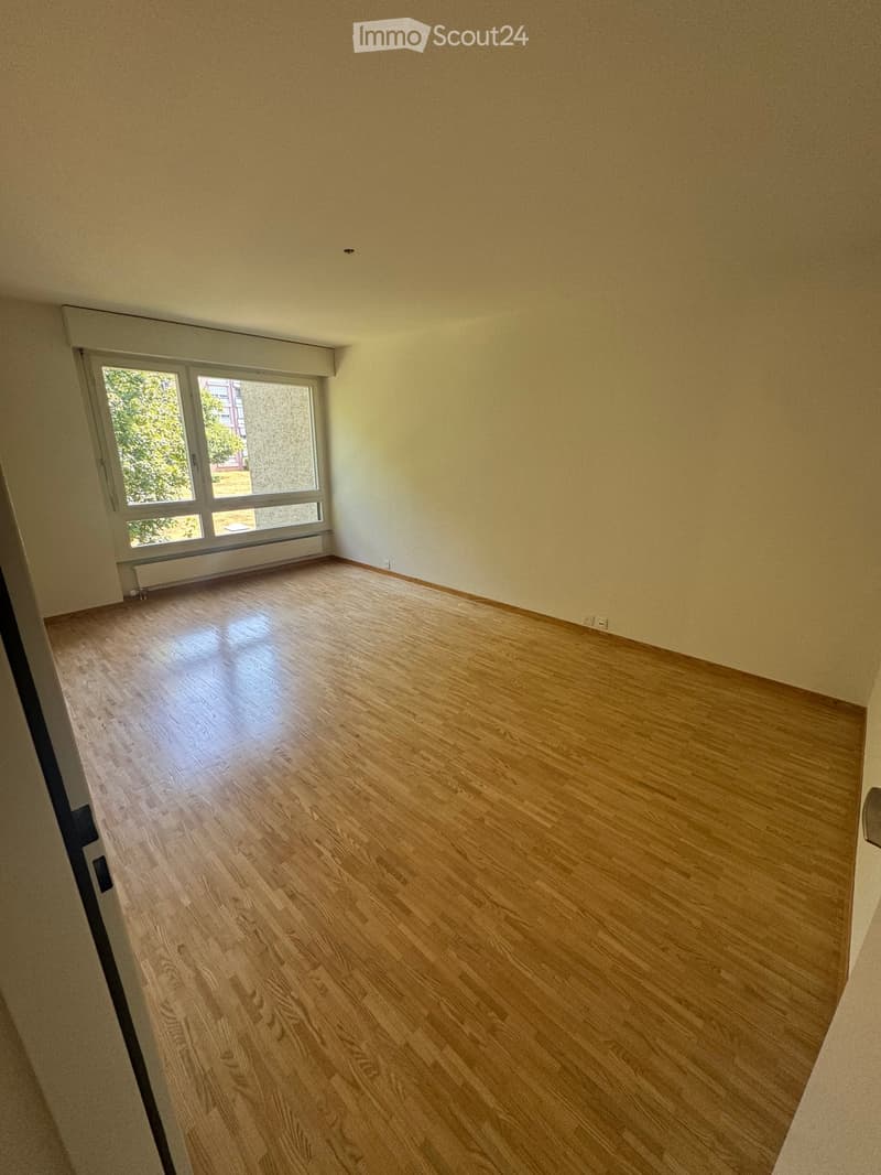Empty room with wooden flooring and large windows, featuring light-colored walls and a radiator under the windows.