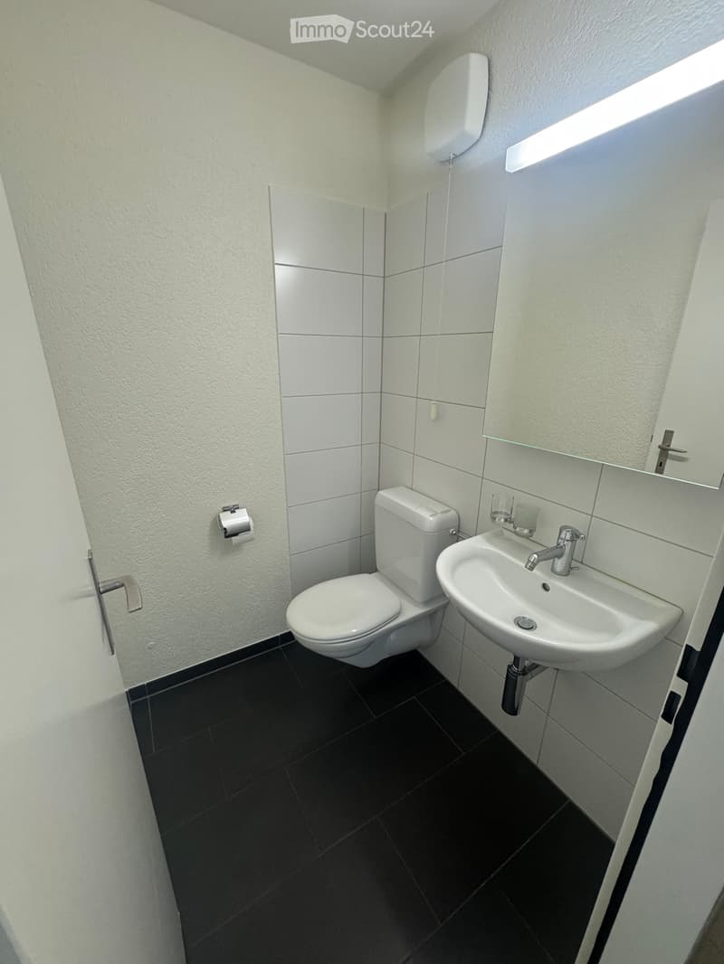 Modern bathroom with white tiles, black floor, toilet, sink, and mirror.