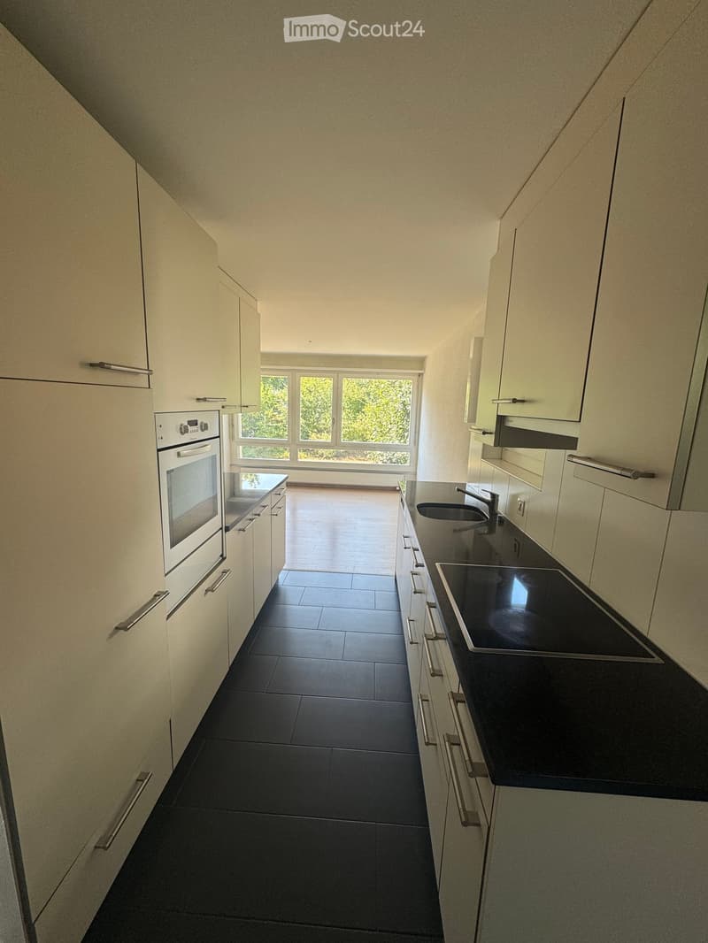 Modern kitchen with white cabinets, black countertop, built-in oven, sink, and faucet. Large window provides natural light.