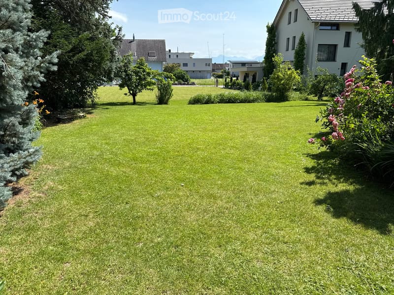 Well-maintained lawn with surrounding trees and shrubs, featuring a house in the background and distant mountains visible.