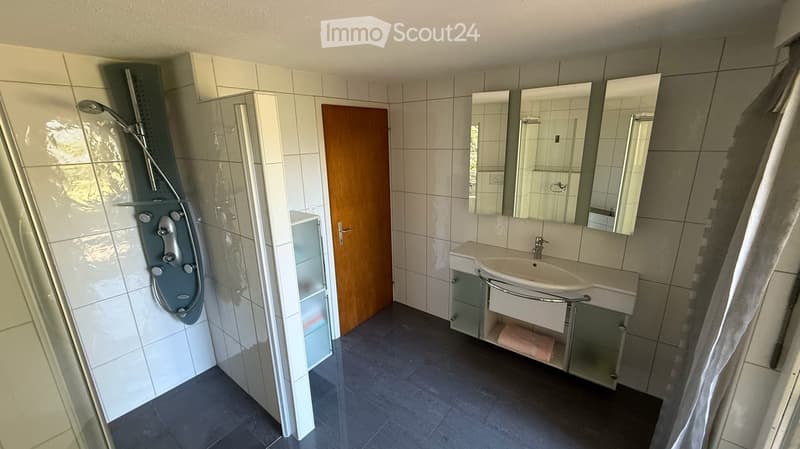 Charmantes 5.5-Zimmer-Einfamilienhaus an der Zinggenstrasse 15 in Widnau (25)
