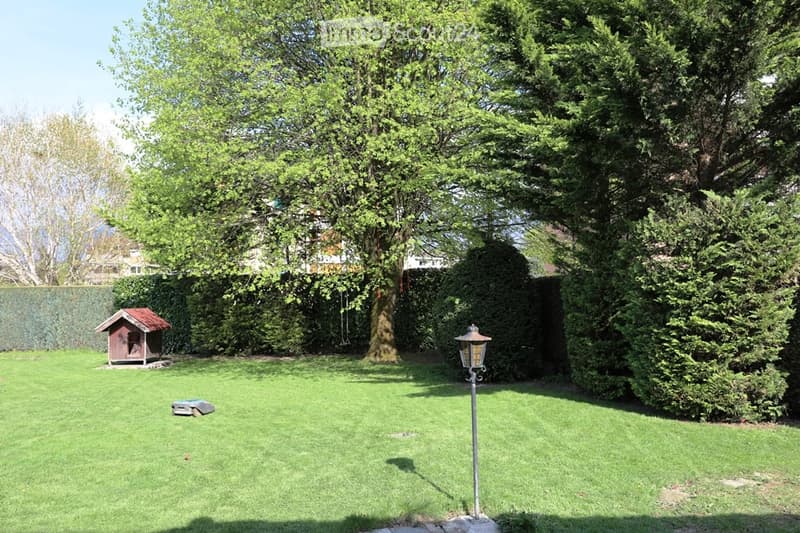 Well-maintained garden with a large tree, neatly trimmed hedges, a small doghouse, and a decorative lantern post.