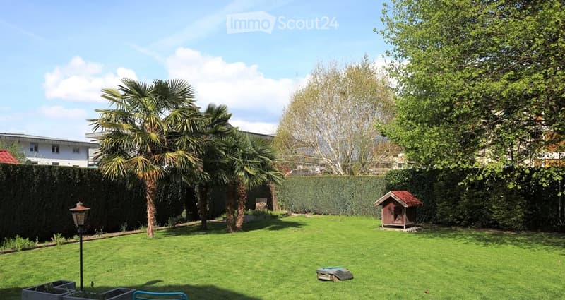 Well-maintained garden with a lawn, palm trees, a small doghouse, and a few potted plants. The area is enclosed by a hedge and features a lamp post.