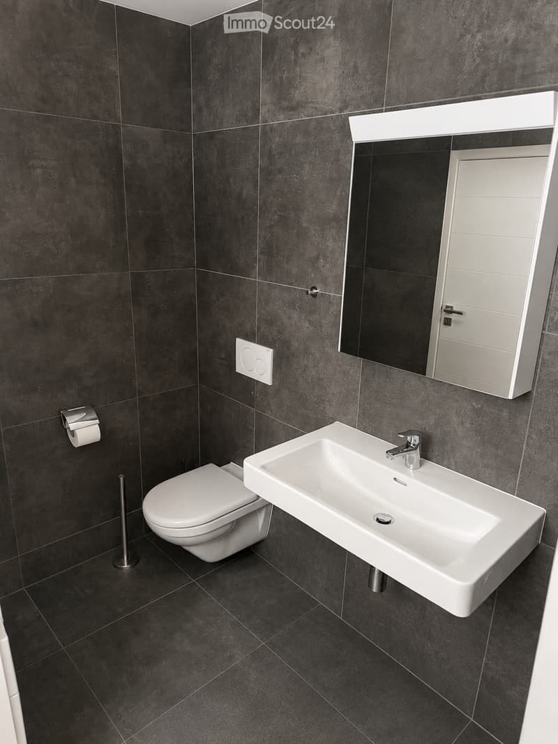 Modern bathroom with dark grey tiled walls and floor, white sink, toilet, and mirrored cabinet.