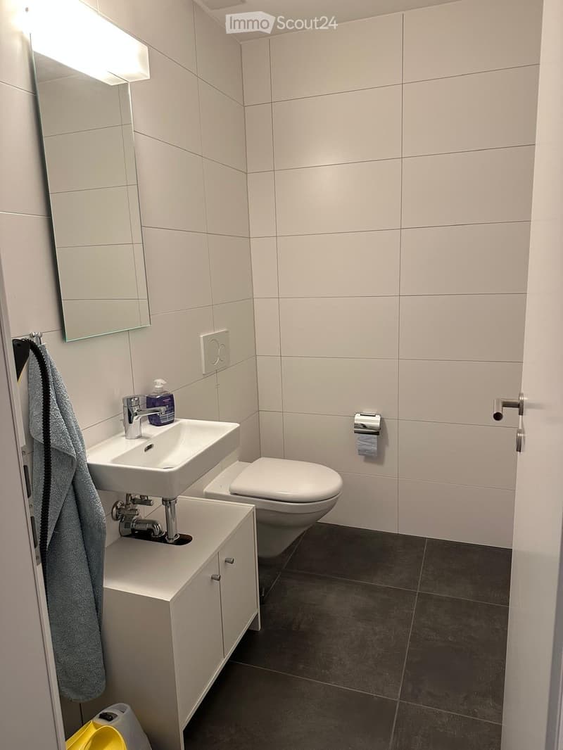 Modern bathroom with white tiles, a sink with a chrome faucet, a toilet, a mirrored cabinet, and a towel hanging on the wall.