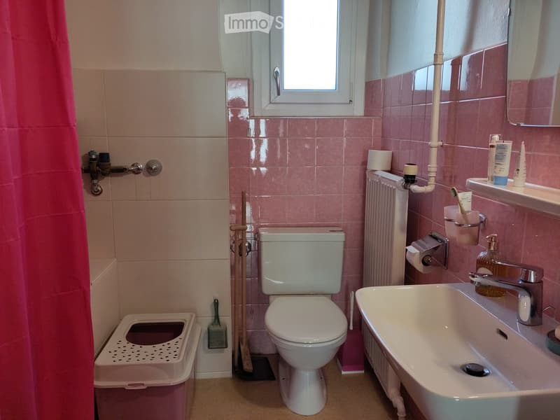A small bathroom with pink tiled walls, a toilet, a sink with a faucet, a toothbrush holder, toothpaste, soap dispenser, toilet paper holder, a radiator, a mop, a brush, and a cat litter box.