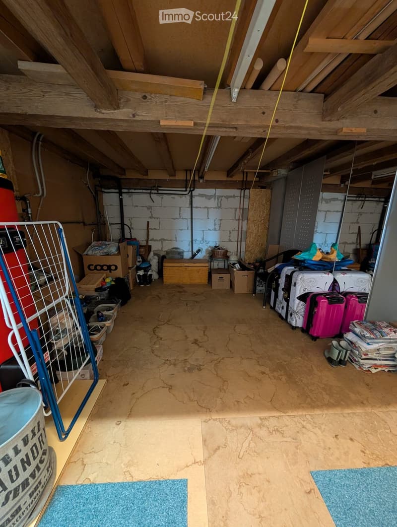 empty basement, wooden beams, storage boxes, metal cage, blue carpet