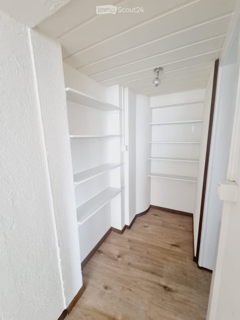 Empty hallway with white walls, wooden flooring, built-in shelves on both sides, and a single ceiling light fixture.