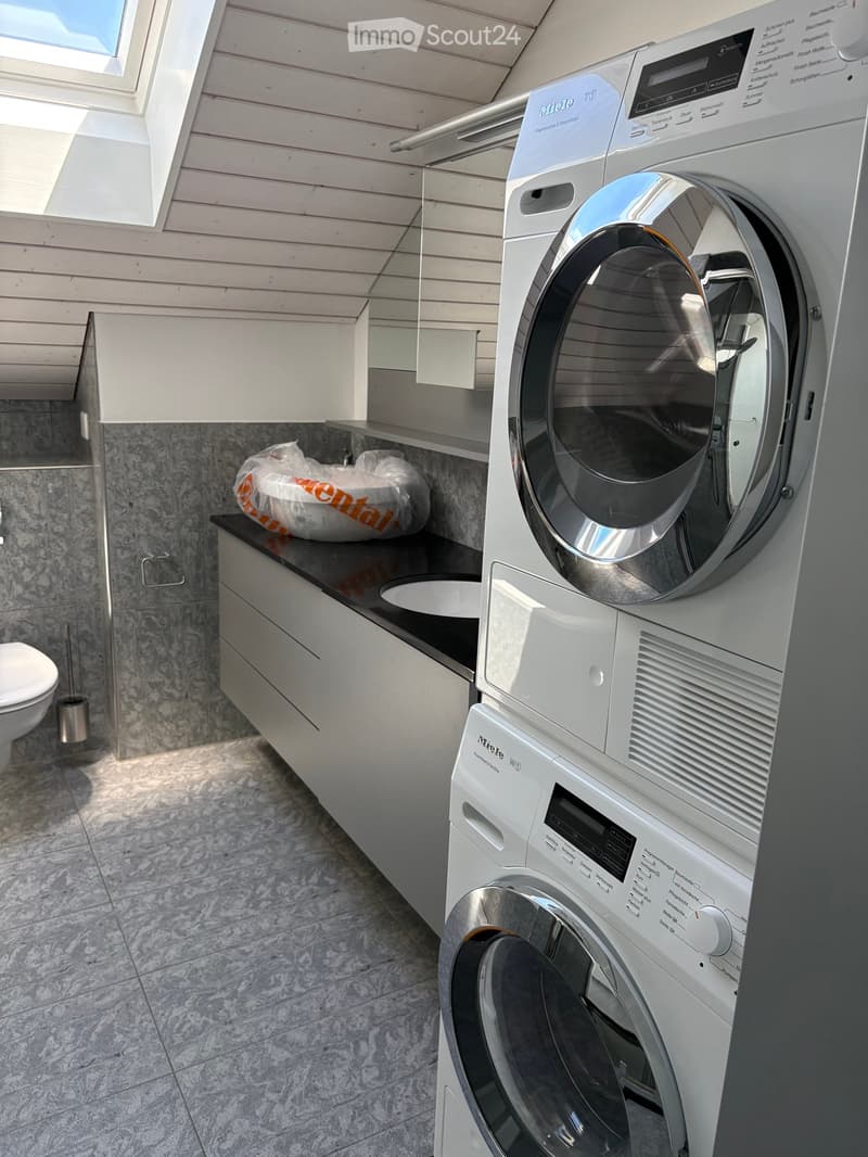 Modern bathroom with a washing machine, toilet, and built-in cabinet. The space features a sleek, contemporary design with a marble-like tile backsplash and a skylight window providing natural light.