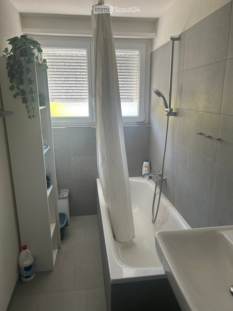 Modern bathroom with a bathtub, shower, sink, and a small plant in the corner. The space features tiled walls and a window with blinds.