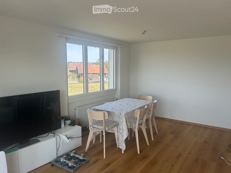 Dining room with wooden flooring, large windows overlooking a rural landscape, a dining table with chairs, a television on a stand, a radiator, a small plant, and dumbbells on the floor.