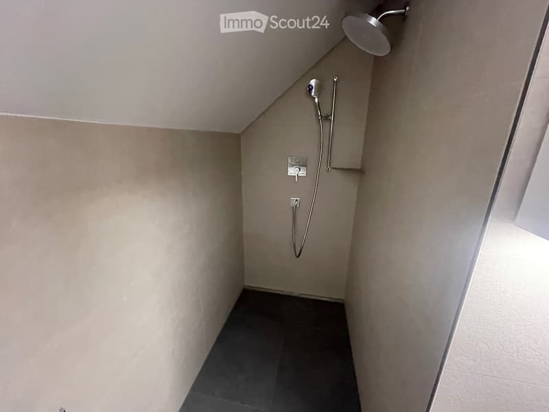 Modern, compact shower area with a handheld shower, fixed showerhead, and control panel, featuring a sloped ceiling and dark tiled floor.