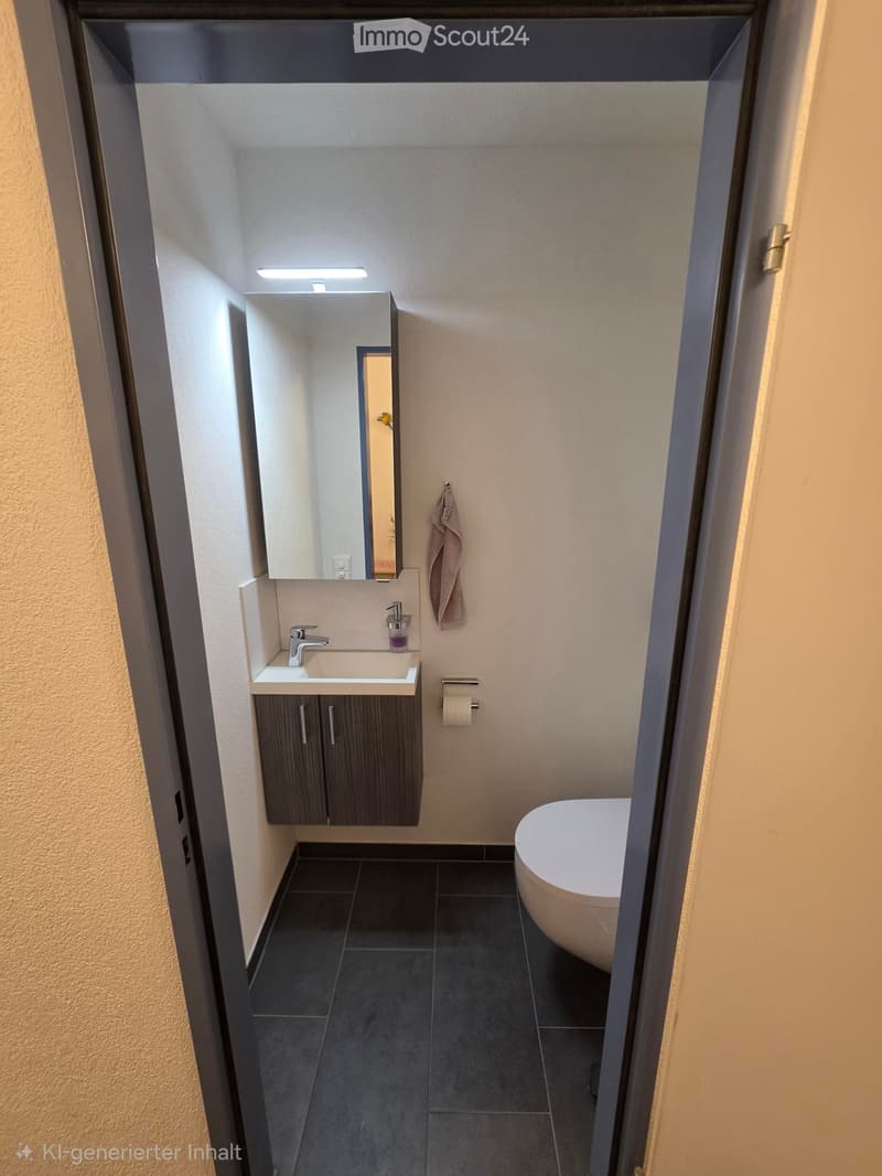 Modern bathroom with dark tiled floor, white toilet bowl, sink with faucet, mirrored cabinet, and towel hanging on wall.
