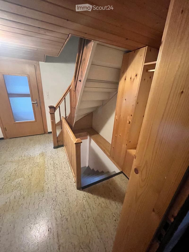 Wooden staircase with handrail and carpeted steps, leading to an open area with wooden walls and a door with a glass panel.