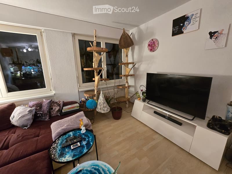 Living room with a red sofa, a blue-themed coffee table, a large cat tree, a television on a white stand, and various decorative items including artwork and potted plants.