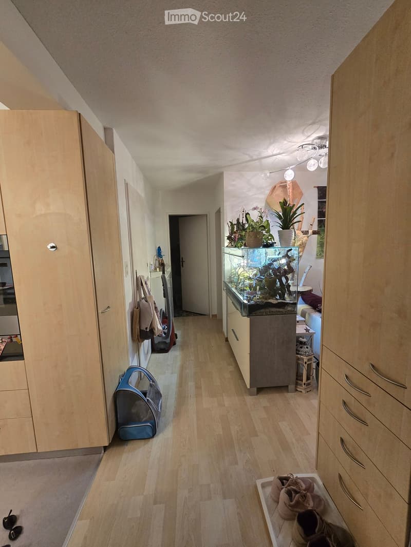 A narrow hallway with wooden flooring, light-colored walls, and built-in storage units on both sides. Visible items include a pet carrier, a vacuum cleaner, a fish tank, and a shoe rack with shoes.