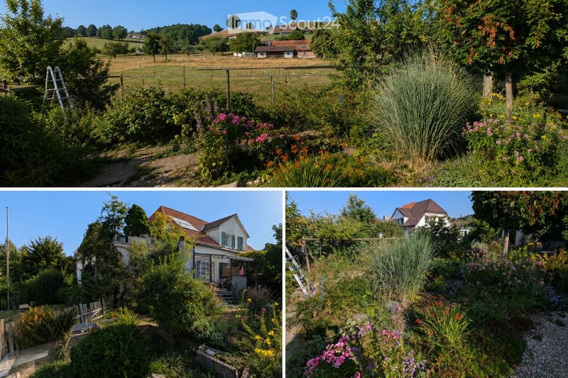 A collage of three images showcasing a lush garden with various plants, flowers, and a small house in the background. The garden features tall grasses, colorful blooms, and a well-maintained lawn, with a scenic countryside view in the distance.