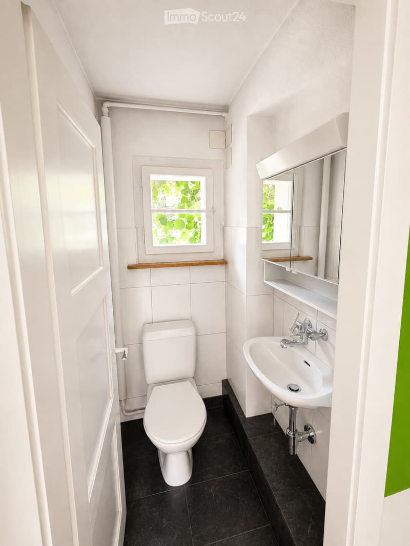 Compact bathroom with white walls, black tiled floor, toilet, sink, mirror, and small window with greenery view.