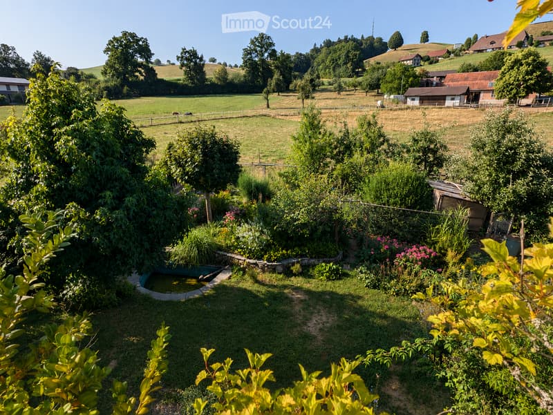 A lush garden with a small pond, surrounded by trees, shrubs, and flowers, with a fenced field and distant houses in the background.