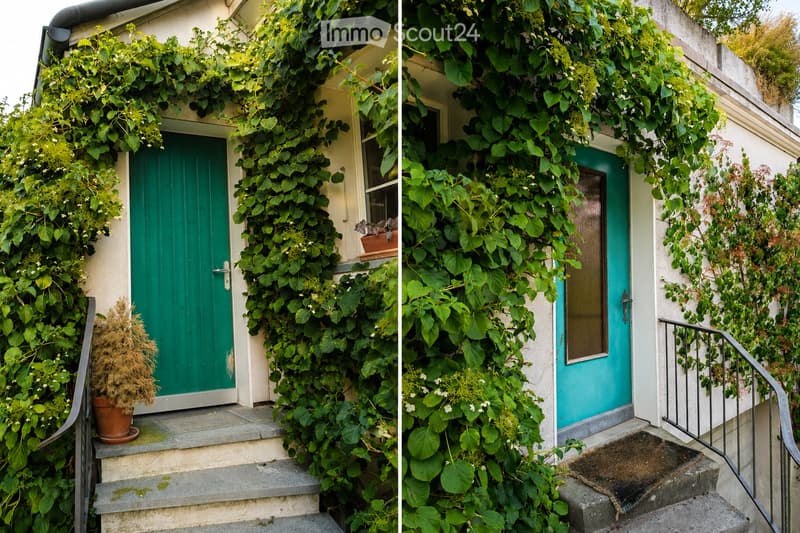 Two images showing the exterior of a house with green ivy-covered walls, green and teal front doors, small potted plants, and stone steps leading up to the entrance.