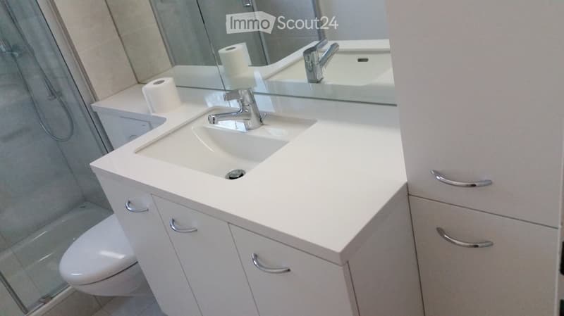 Modern bathroom with white sink, chrome faucet, mirror, toilet, and toilet paper on the counter.