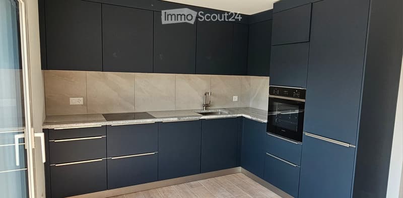 Modern kitchen with dark blue cabinets, a stainless steel sink, and a built-in oven.