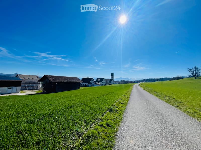 A rural landscape with a gravel road leading through green fields, featuring several houses and a church in the distance under a clear blue sky.