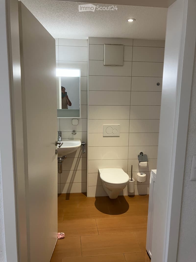 Wohnung in Seewen SO (5)