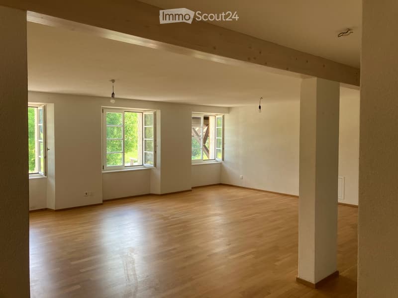 Wohnung in Seewen SO (2)
