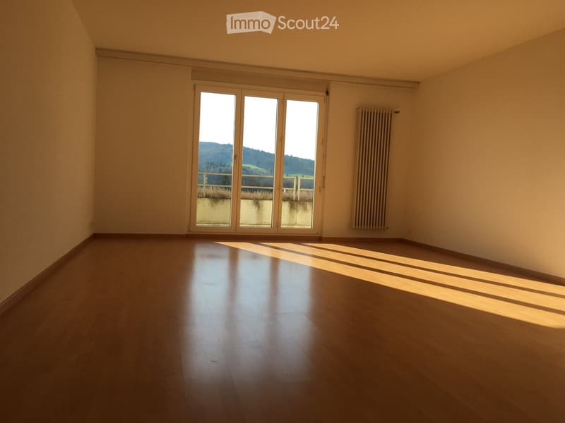 Empty room with wooden flooring, large sliding glass doors leading to a balcony, and a radiator on the wall.