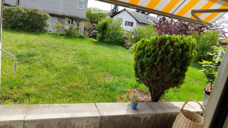 Well-maintained garden with green lawn, trimmed bushes, and small potted plants on a concrete patio. A striped awning extends over the patio area.