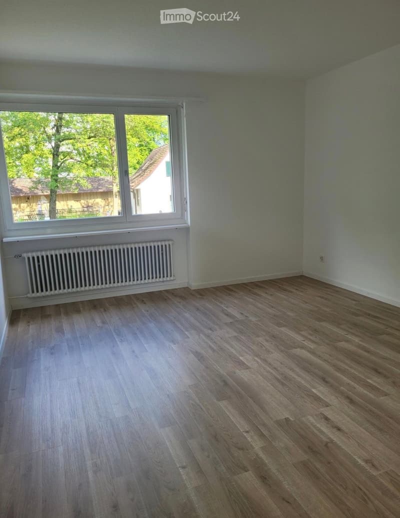 Empty room with wooden flooring, white walls, and a large window with a radiator below it.
