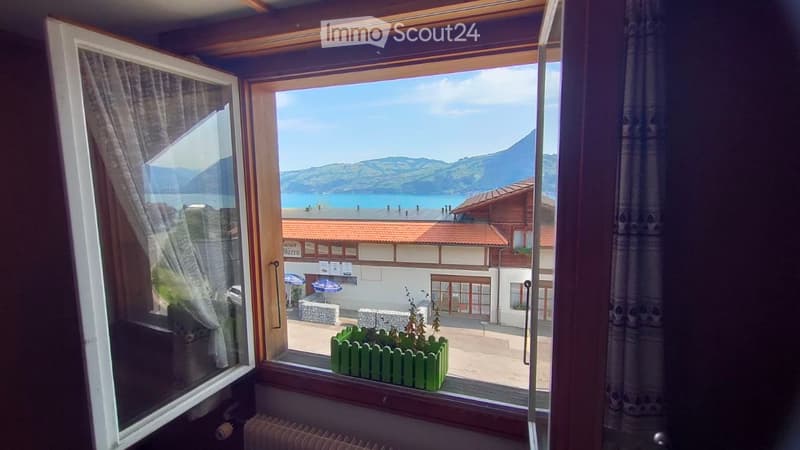 Window view overlooking a scenic lake and mountains, with a small green planter on the windowsill, curtains, and a radiator below the window.
