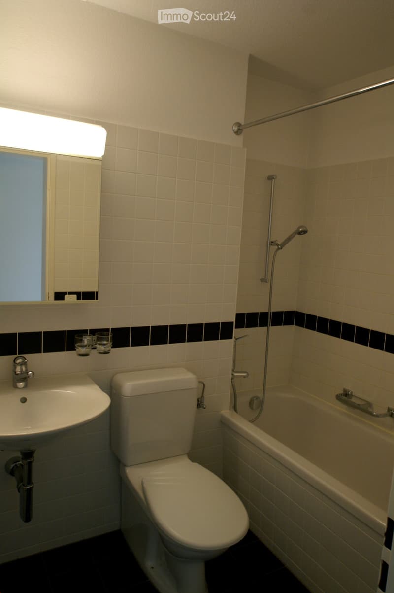 Modern bathroom with white tiles, black accents, a sink, toilet, bathtub, and a showerhead with handheld sprayer.